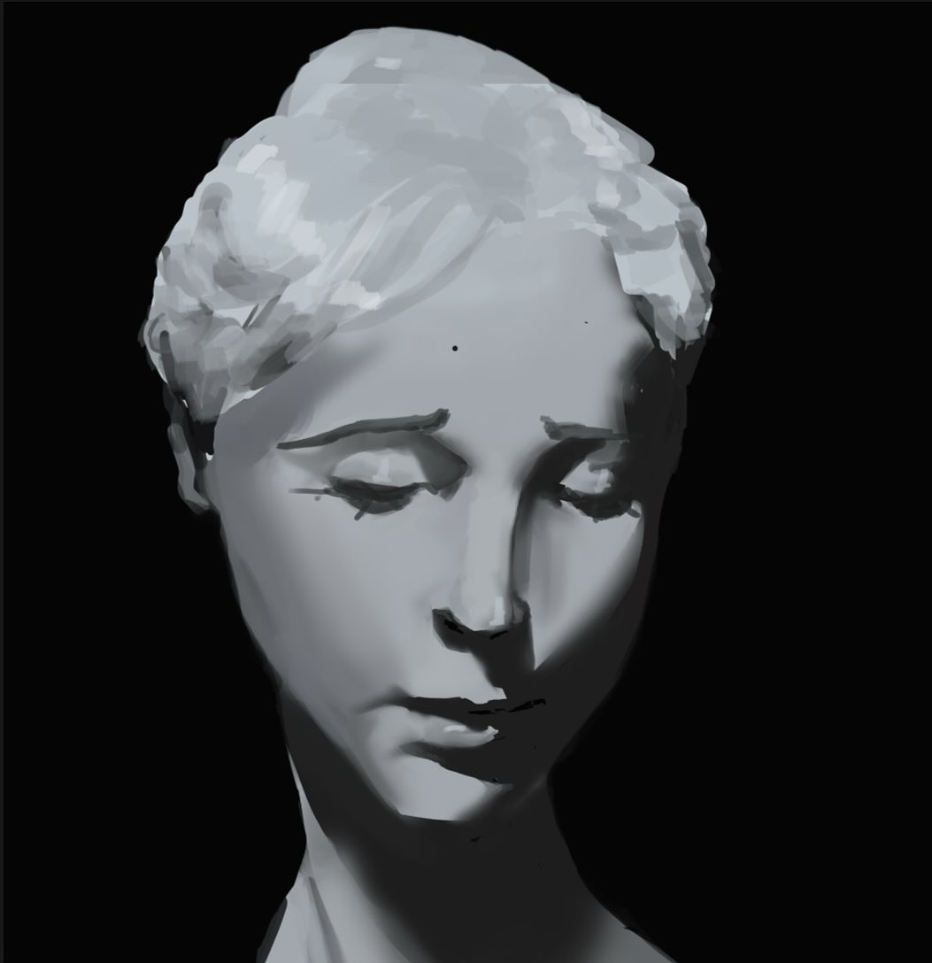 Greyscale sculpture head practice